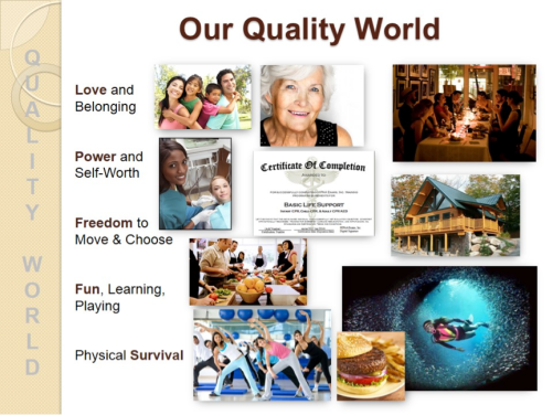 ourqualityworld